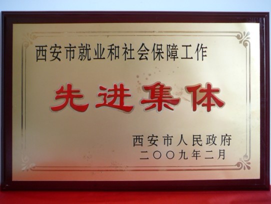 2009年2月，被西安市政府评为西安市就业和社会保障事情先进整体